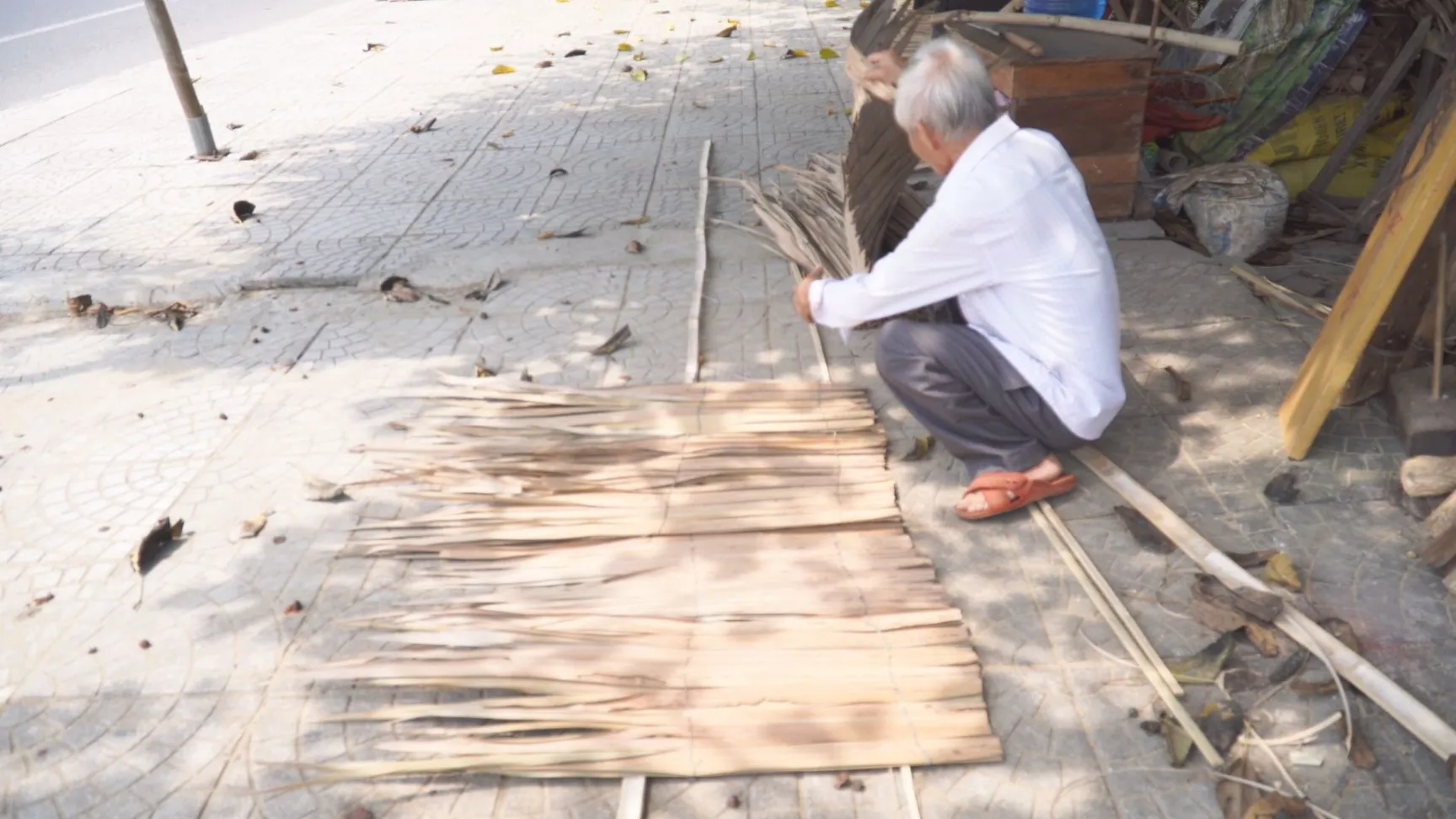 coconut leaves after being dried